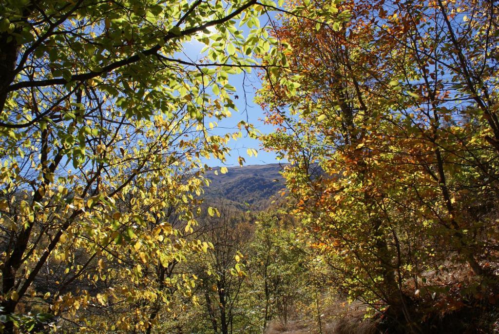 Takht House Villa Dilijan Cameră foto